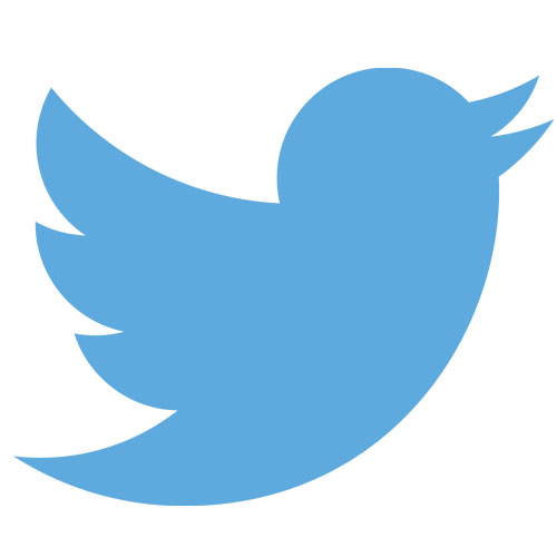 twitter-resized